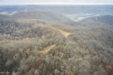 56835 Stephens Rd, Jacobsburg, OH 43933 - photo 7