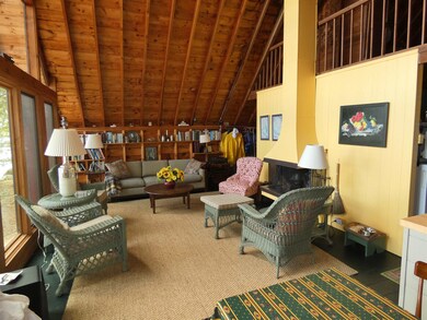 14 Little Bear Island, Tuftonboro, NH 03816 - photo 4