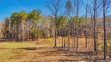 View of local wilderness