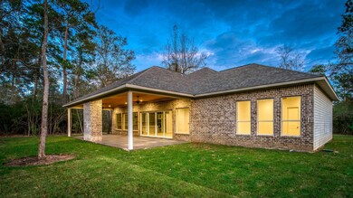 25011 Rhett Butler Ct, Tomball, TX 77375 - photo 4