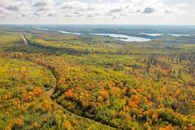 TBD Hwy 135, Biwabik, MN 55708 - photo 4