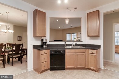7559 Stoney Run Dr unit 203, Hanover, MD 21076 - photo 5