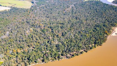 0 Gray's Landing Rd unit 23834, Uvalda, GA 30473 - photo 5