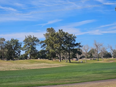 650 N Hawes Rd unit 2000, Mesa, AZ 85207 - photo 6