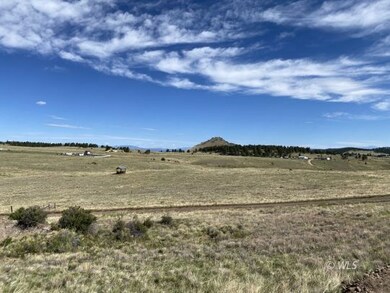 0 000 unit 2517439, Westcliffe, CO 81252 - photo 4