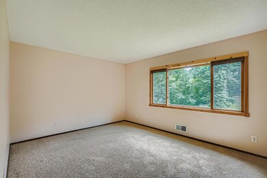 9624 204th St N, Forest Lake, MN 55025 - photo 5