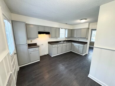 Kitchen with gray cabinetry, sink, dark hardwood /