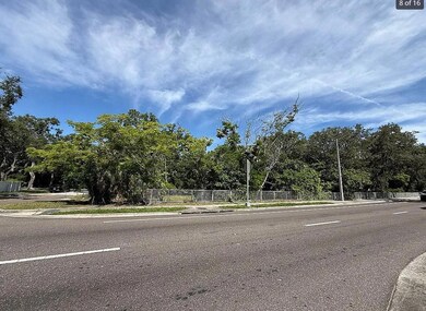 3902 E Hanlon St, Tampa, FL 33604 - photo 6