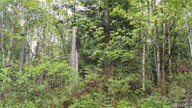 1 Zion View Ln, Quilcene, WA 98376 - photo 5