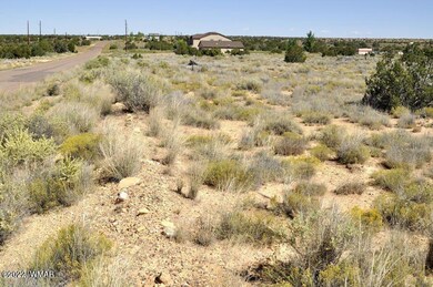 Lot 37 Old Woodruff Rd (2)