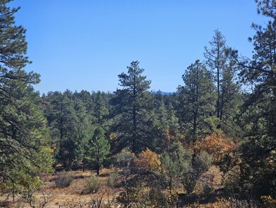 IMG_20241101_121229