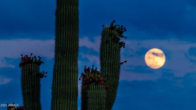 0 Paseo De Oro -- 20 Cave Creek AZ 85331