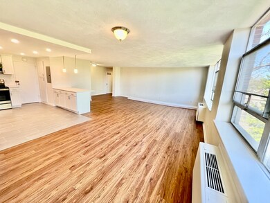 Hammond Park Condominiums unit 501, Chestnut Hill, MA 02467 - photo 4