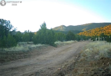 6179 County Road 84, Florence, CO 81226 - photo 7