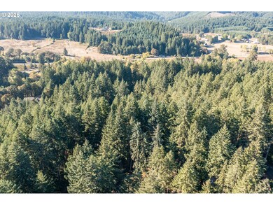 31636 Lewis Place, Philomath, OR 97370 - photo 2