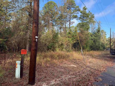 Lot 336 King Bernanrd, Scroggins, TX 75480 - photo 5