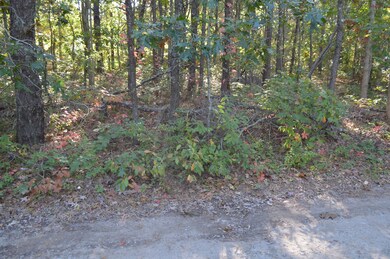 15 13th St N, Edgartown, MA 02539 - photo 6