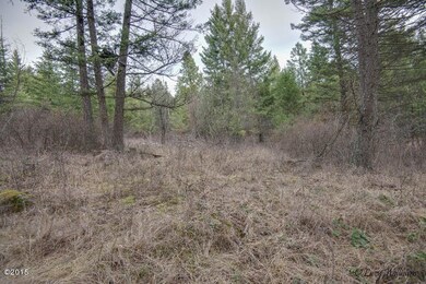 126 Pierce Ln, Big Fork, MT 59911 - photo 2