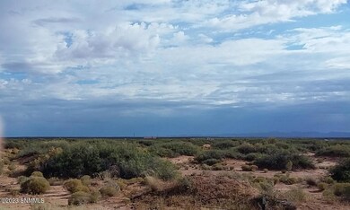TBD Us 54, Chaparral, NM 88081 - photo 4