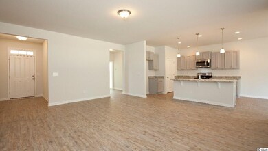 3139 Holly Loop unit Lot 63 Alston B, Conway, SC 29527 - photo 2