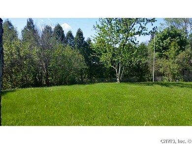 Backyard.