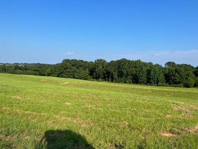 0 53 Hwy unit 24327, Clio, AL 36017 - photo 2