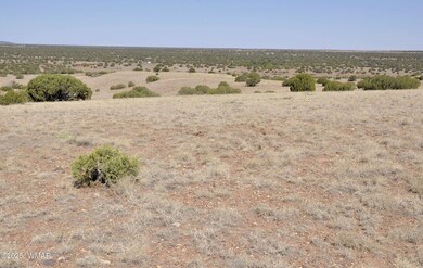 14 Cr 5525, Concho, AZ 85924 - photo 7
