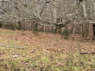 0 Julius Bridge Rd unit 420745, Ball Ground, GA 30107 - photo 3