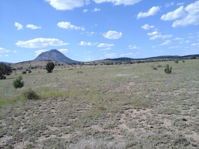 Lot 47 Juniperwood Ranch Unit 11, Ash Fork, AZ 86320 - photo 7