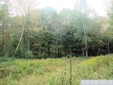 0 Oxbow Rd, Hillsdale, NY 12529 - photo 5