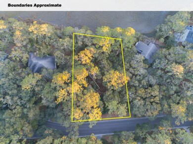 Aerial View with Street and Marsh