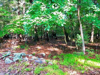 0 Mill Rd unit 20182618, Stone Ridge, NY 12484 - photo 4