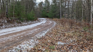 From the driveway, looking down Ginger Creek Pass to the right.
