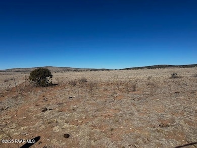 00 NE Double Back Dr, Seligman, AZ 86337 - photo 4