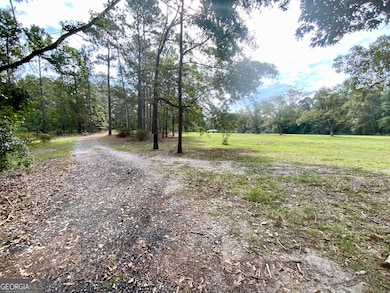 3195 Middle Ground Rd, Statesboro, GA 30461 - photo 7
