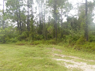 467 Jaguar Blvd, Lehigh Acres, FL 33974 - photo 2