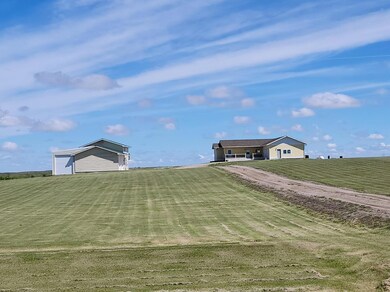 View From Driveway