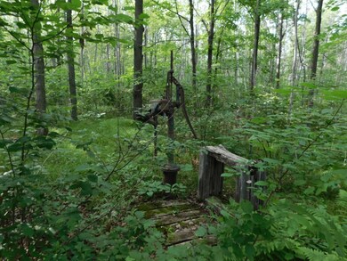 W10285 Hwy 86, Tomahawk, WI 54487 - photo 3