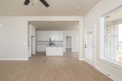 161 S Eagle Mountain St, Prairie Grove, AR 72753 - photo 5