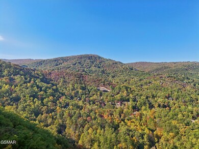 Windswept View Way-052