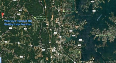 Lot 19 Vesuvius Furnace Rd, Iron Station, NC 28080 - photo 4