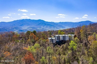 1102 Ski View Dr unit 206, Gatlinburg, TN 37738 - photo 2