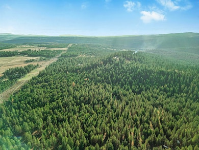 XXX N Waldrons Ln, Chattaroy, WA 99003 - photo 2