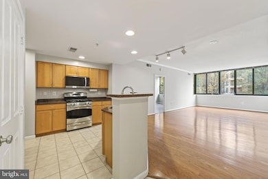 The Park at Courthouse unit 206, Arlington, VA 22201 - photo 3