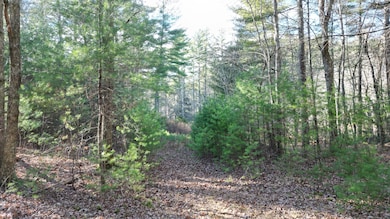 81 Deerfield Dr, Sterling, CT 06377 - photo 2