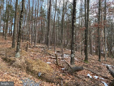 0 Spielman Rd unit WVMO117882, Berkeley Springs, WV 25411 - photo 6