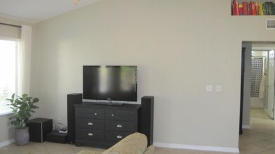 Entertainment Wall