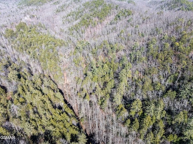 Tract 4 Wilhite Rd, Pittman Center, TN 37876 - photo 2