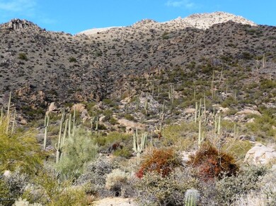 Mountain Views 2