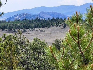 1051 Arapahoe Trail, Hartsel, CO 80449 - photo 2